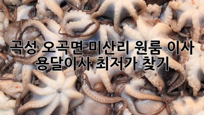 곡성 오곡면 미산리 원룸 이사, 용달이사 최저가 찾기!