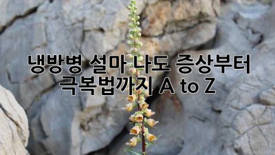 🥶 냉방병, 설마 나도?! 증상부터 극복법까지 A to Z! 🏥