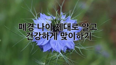 폐경 나이, 제대로 알고 건강하게 맞이하기