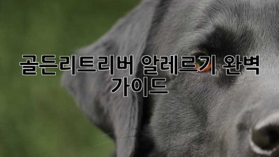 골든리트리버 알레르기 완벽 가이드