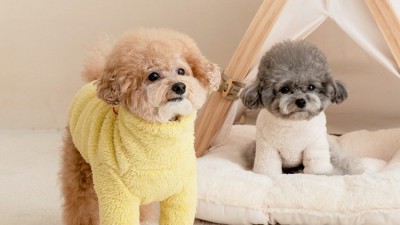 겨울철 필수템! 내돈내산 울리넥워머 후기 & 꿀팁 대방출 🥰
