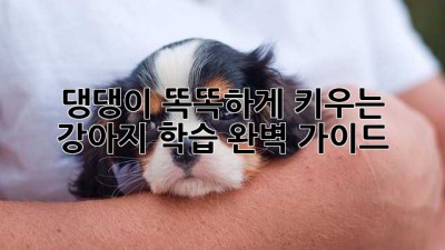 댕댕이 똑똑하게 키우는 강아지 학습 완벽 가이드
